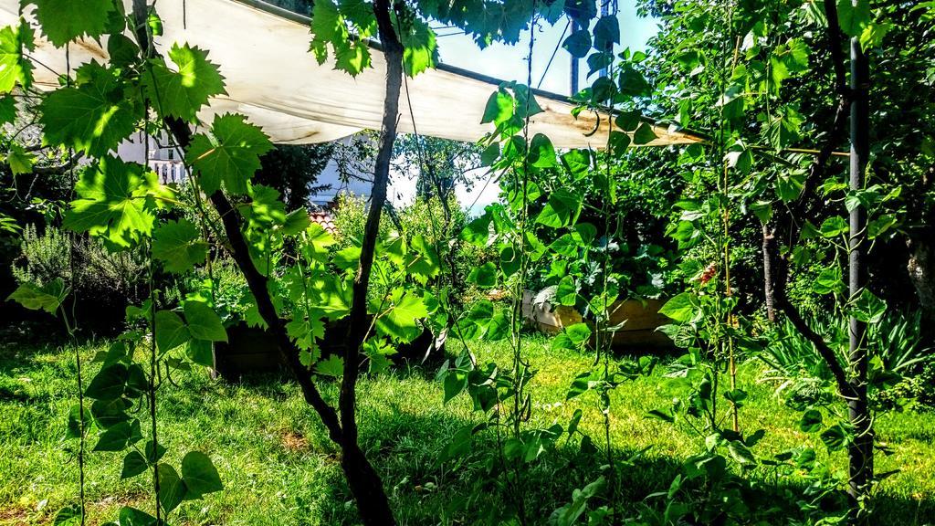 Stressfree Villa Ičići Exteriér fotografie