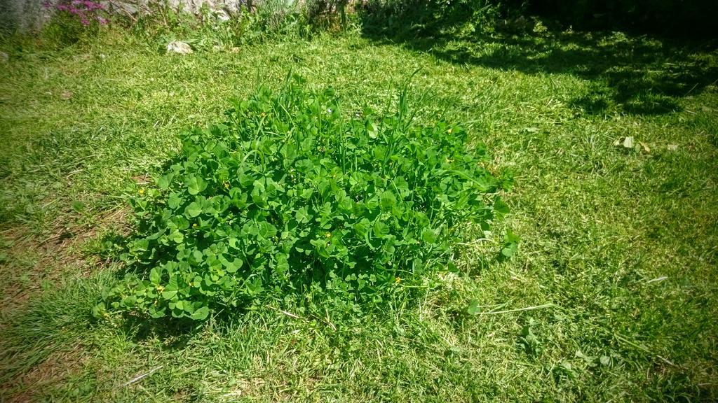 Stressfree Villa Ičići Exteriér fotografie