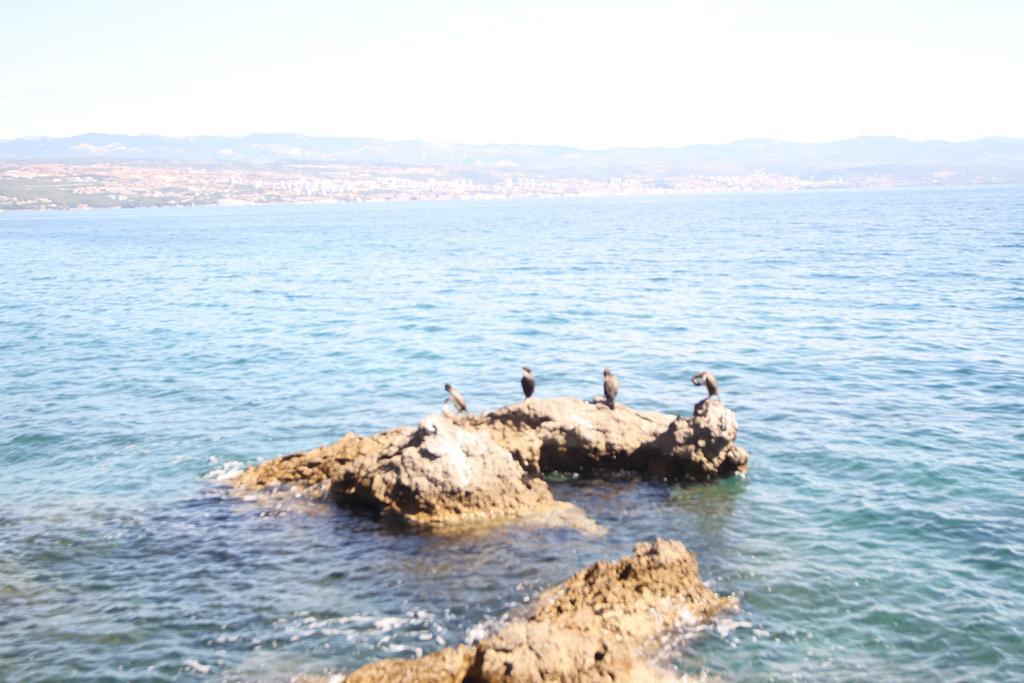 Stressfree Villa Ičići Exteriér fotografie